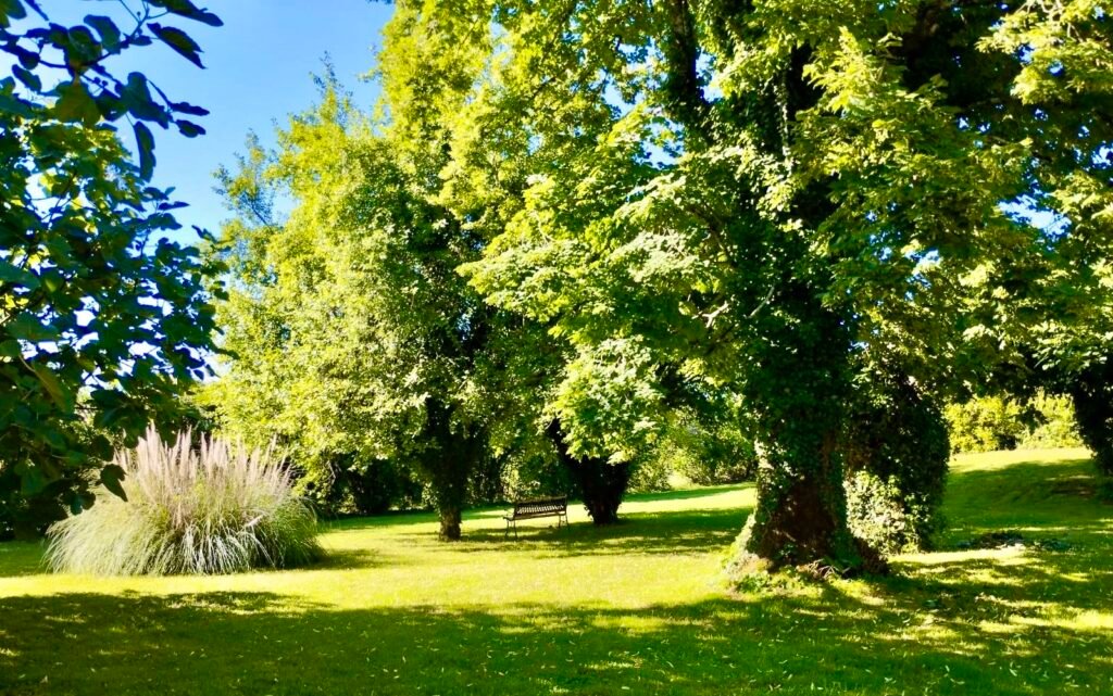 jardin frondoso con banca para sentarse