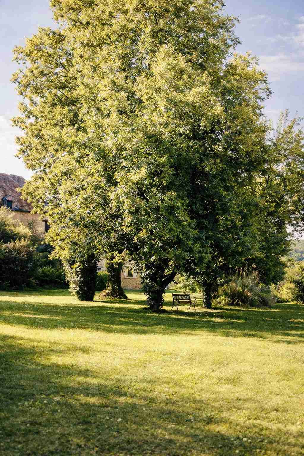 hermoso jardín con luz del mediodía