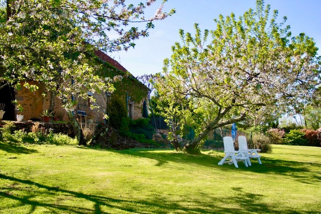 hermoso jardín con estanque